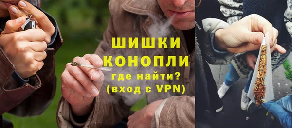 дмт Пересвет