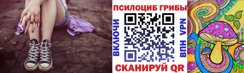 Псилоцибиновые грибы Cubensis  Камбарка 